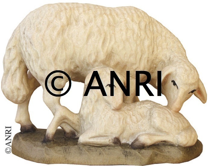Pecora con agnello art. 79710-13